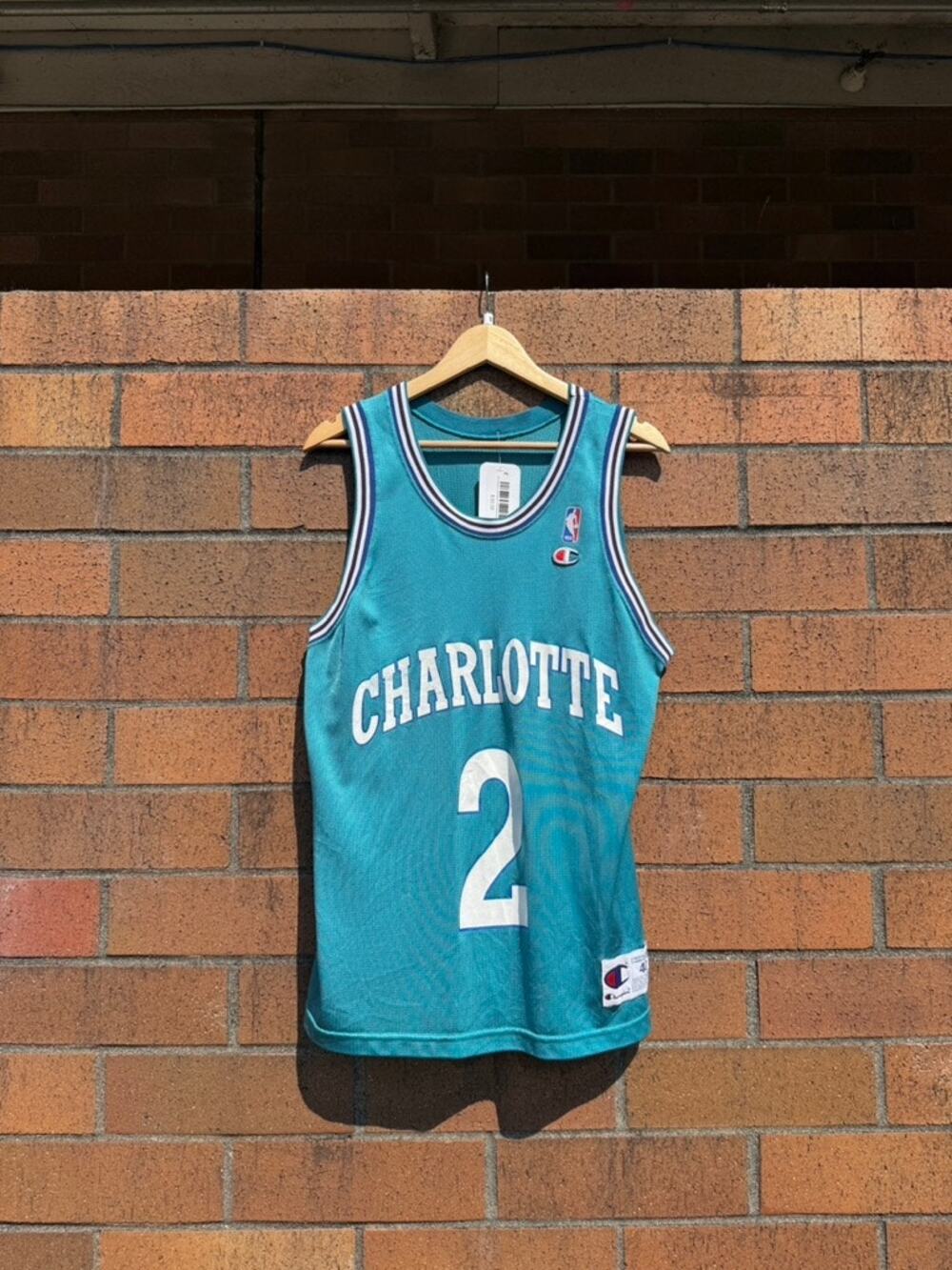 90s Champion Larry Johnson Vintage Teal Charlotte Hornets NBA Basketball Jersey